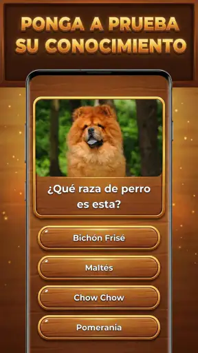 Trivia Madera: Trivia Blocks screenshot