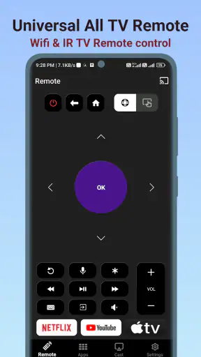 Universal TV Remote Controller screenshot