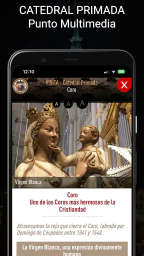 Visita CATEDRAL de TOLEDO screenshot