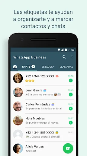 WhatsApp Business screenshot