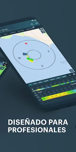 Windy.app - vientos y oleajes screenshot