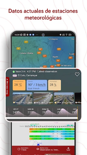 Windy.com: Previsión del clima screenshot
