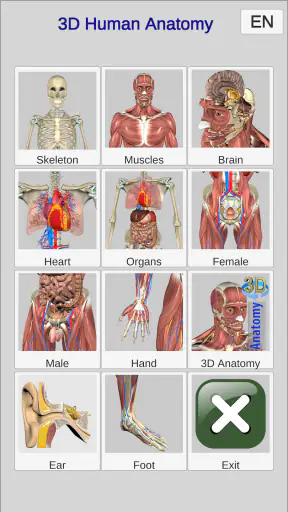 3D Bones and Organs (Anatomy) screenshot