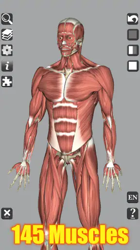 3D Bones and Organs (Anatomy) screenshot