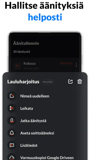 Ääninauhuri, Äänen Tallennus screenshot