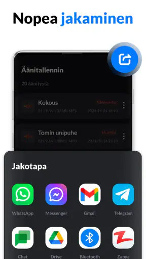 Ääninauhuri, Äänen Tallennus screenshot