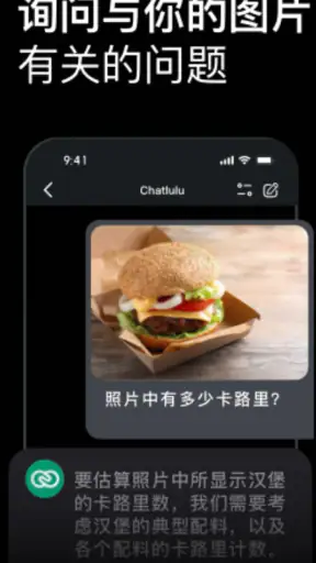 AI Chatlulu:All-in-One-Tools screenshot