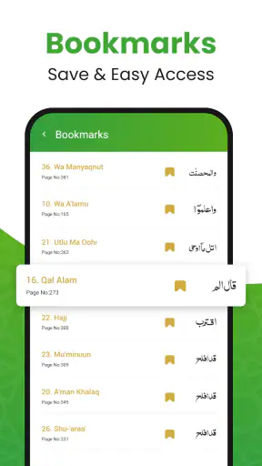 Al Koraani - القرآن الكريم screenshot