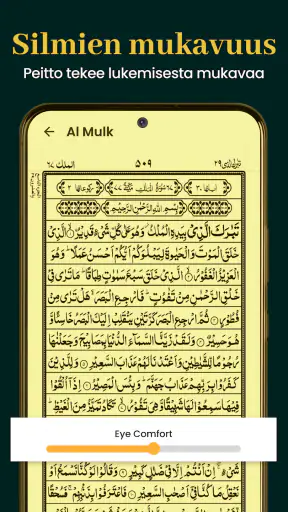 Al Quran Kareem 16 Riviä screenshot