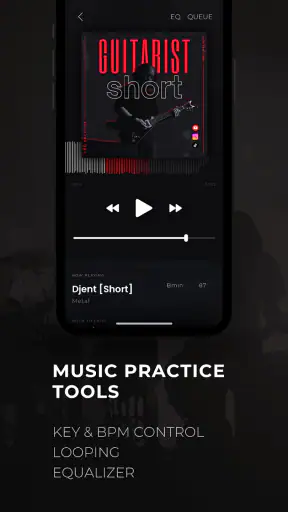 Backtrackit: Musicians Player screenshot