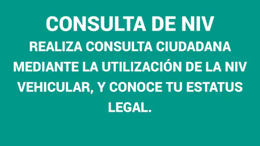 Consulta Vehicular MX 2026 screenshot