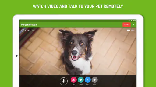 Dog Monitor: Puppy video cam screenshot
