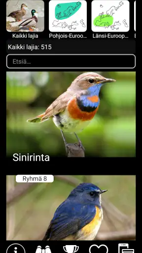 Euroopan lintujen äänet PRO screenshot