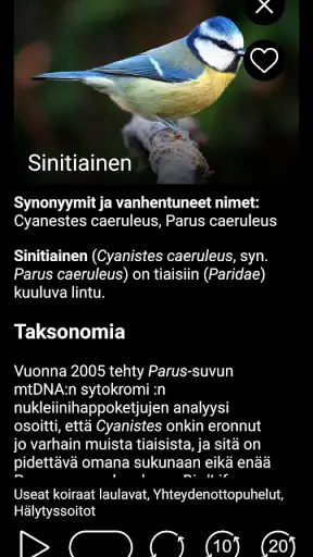 Euroopan lintujen äänet PRO screenshot