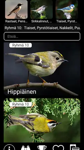 Euroopan lintujen äänet PRO screenshot