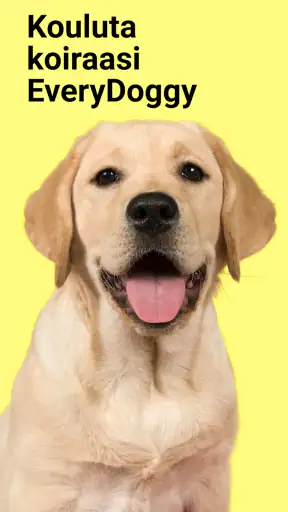 EveryDoggy: Koiran koulutus screenshot