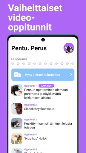 EveryDoggy: Koiran koulutus screenshot