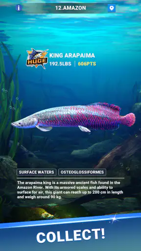 Fishing Travel screenshot