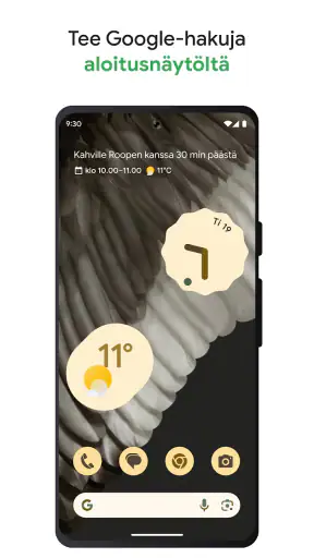 Google screenshot