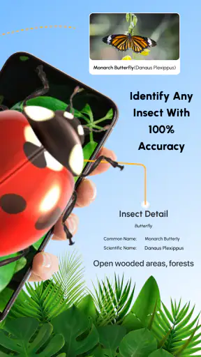 hyönteisten tunniste: bug id screenshot