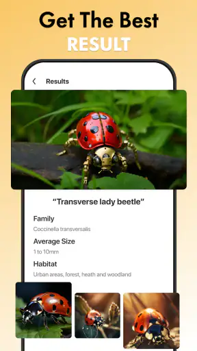 hyönteisten tunniste: bug id screenshot