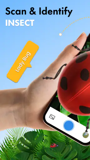 hyönteisten tunniste: bug id screenshot