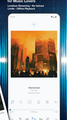 iBroadcast screenshot