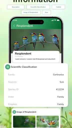 ID Bird: Bird Call Identifier screenshot