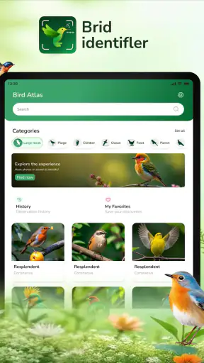 ID Bird: Bird Call Identifier screenshot