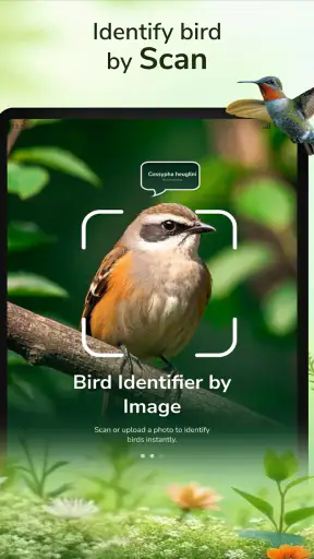 ID Bird: Bird Call Identifier screenshot
