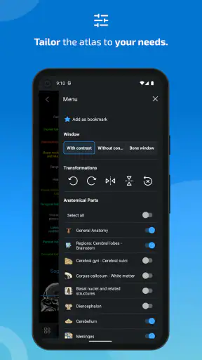 IMAIOS e-Anatomy screenshot