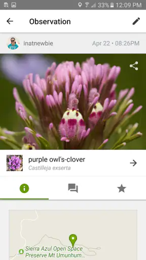 iNaturalist screenshot