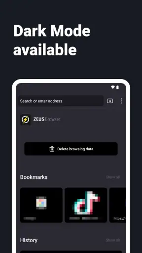 Internet-selain - ZEUS screenshot