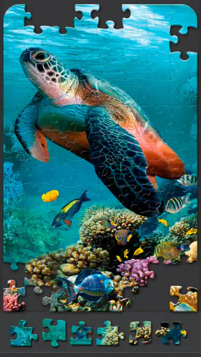Jigsaw Puzzles for Adults screenshot