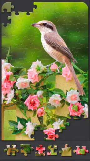 Jigsaw Puzzles for Adults screenshot