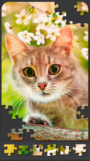 Jigsaw Puzzles for Adults screenshot
