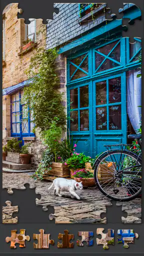 Jigsaw Puzzles for Adults screenshot