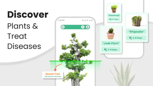 Kasvin tunniste - Plant App screenshot