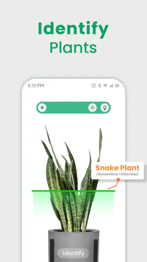 Kasvin tunniste - Plant App screenshot
