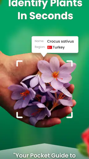 Kasvin Tunnistus - Plantio screenshot