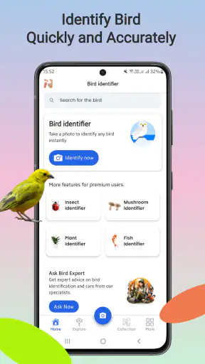 linnun tunniste screenshot