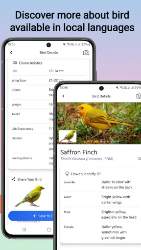 linnun tunniste screenshot