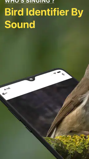 Lintujen Tunnistus Linnunlaulu screenshot