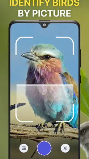 Lintujen Tunnistus Linnunlaulu screenshot