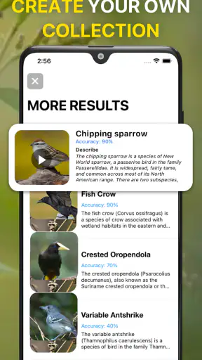 Lintujen Tunnistus Linnunlaulu screenshot