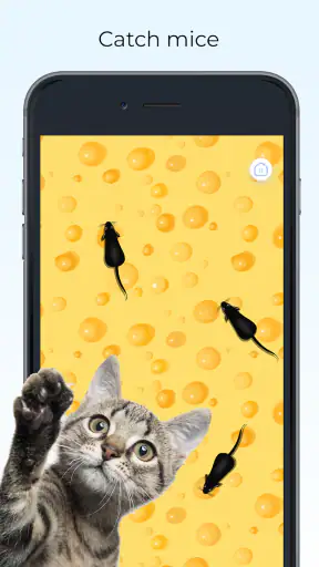 Meow - Pelejä Kissoille Äänet screenshot
