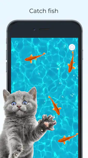 Meow - Pelejä Kissoille Äänet screenshot