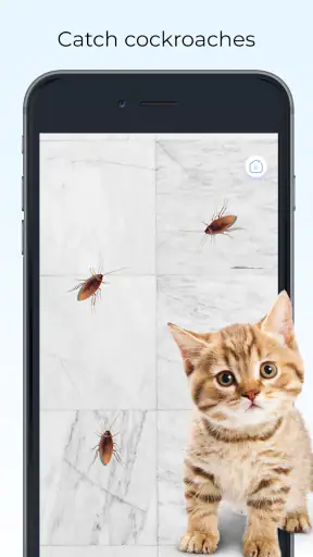 Meow - Pelejä Kissoille Äänet screenshot