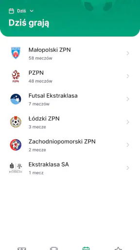 mPZPN screenshot