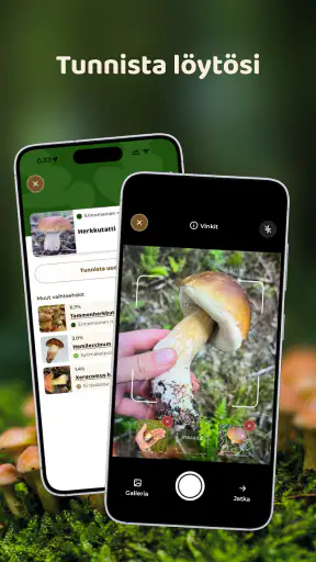 Mushroom Spot: sienet kartalla screenshot